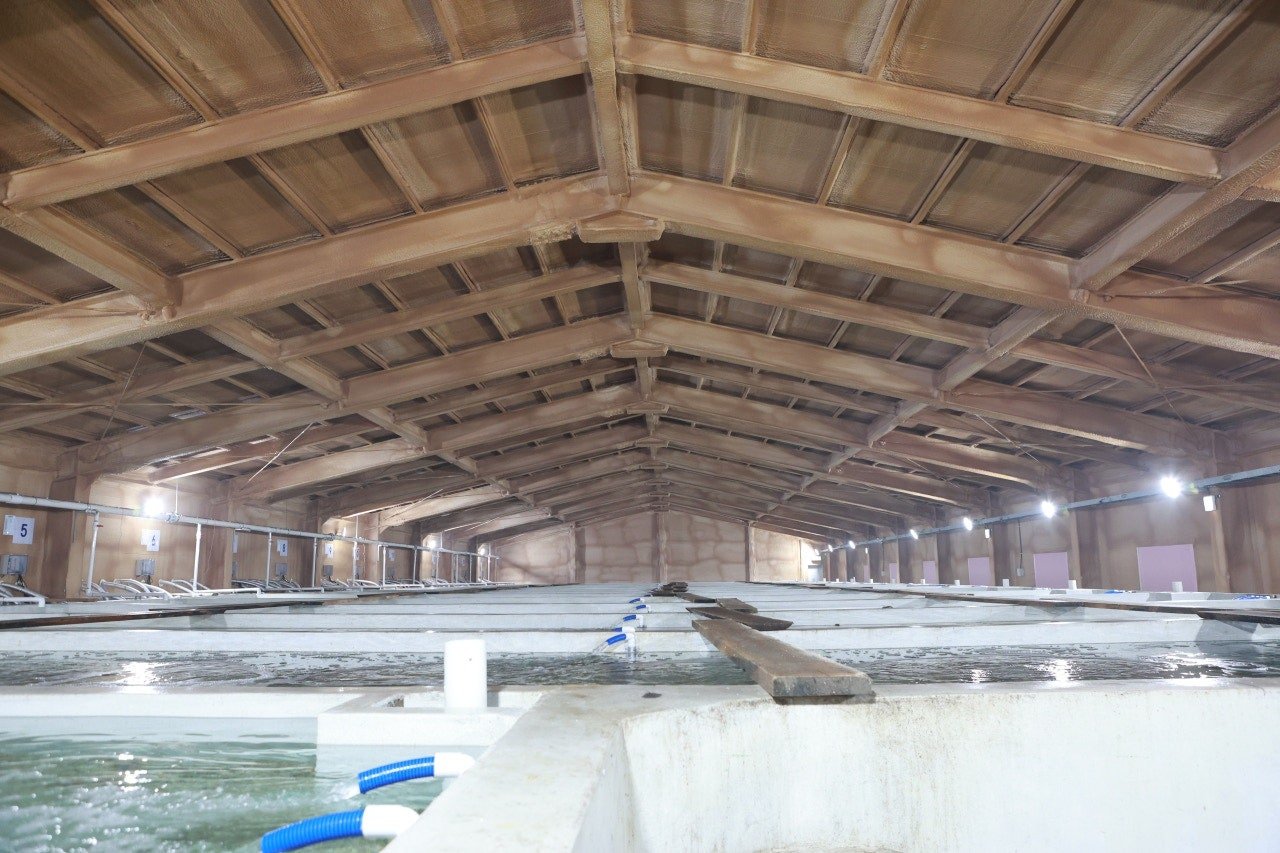 Indoor Holding Pools