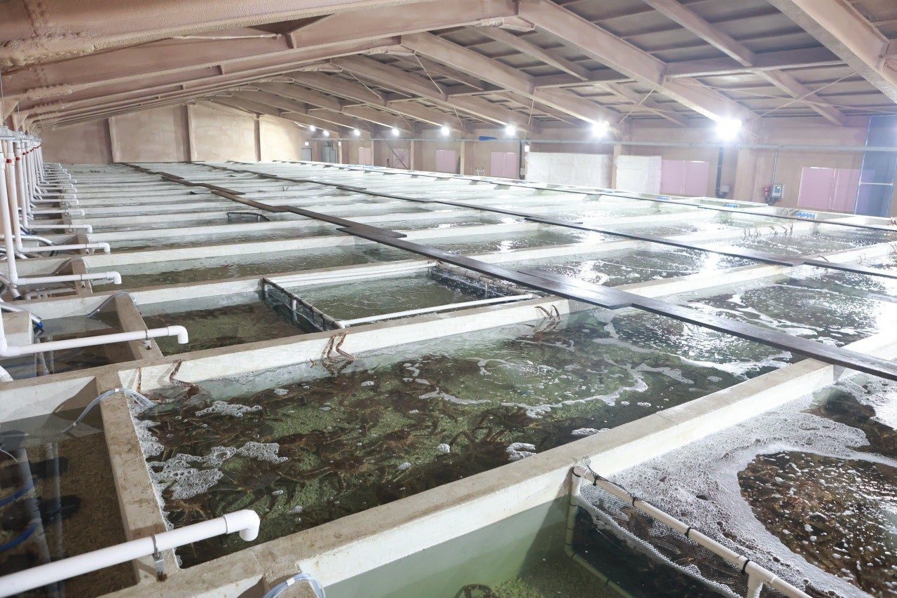 Aquaculture Tanks