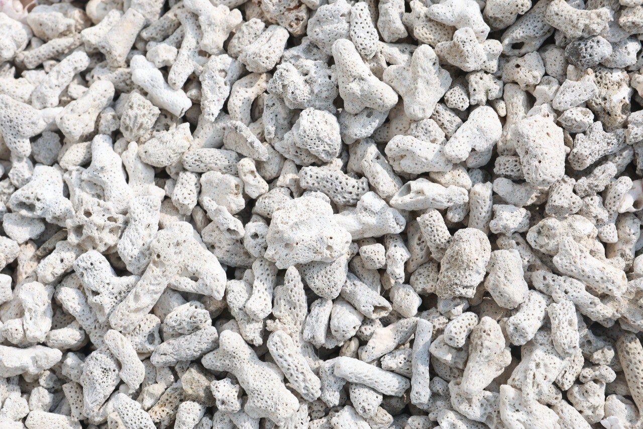 Coral-Stone Filter Media